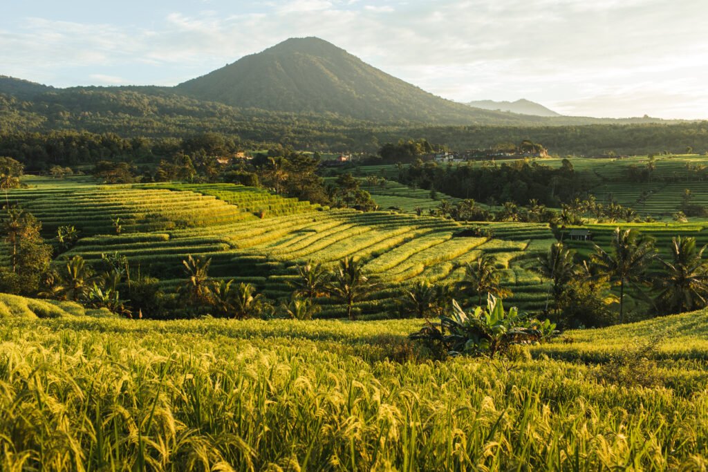 Natureza de Bali